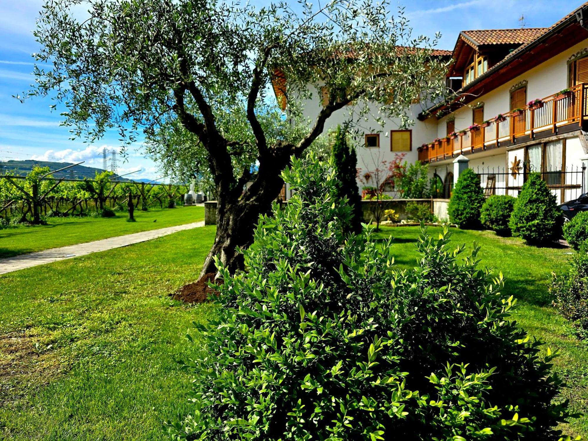 Villa Antico Fienile Agritur Mezzocorona Exterior foto