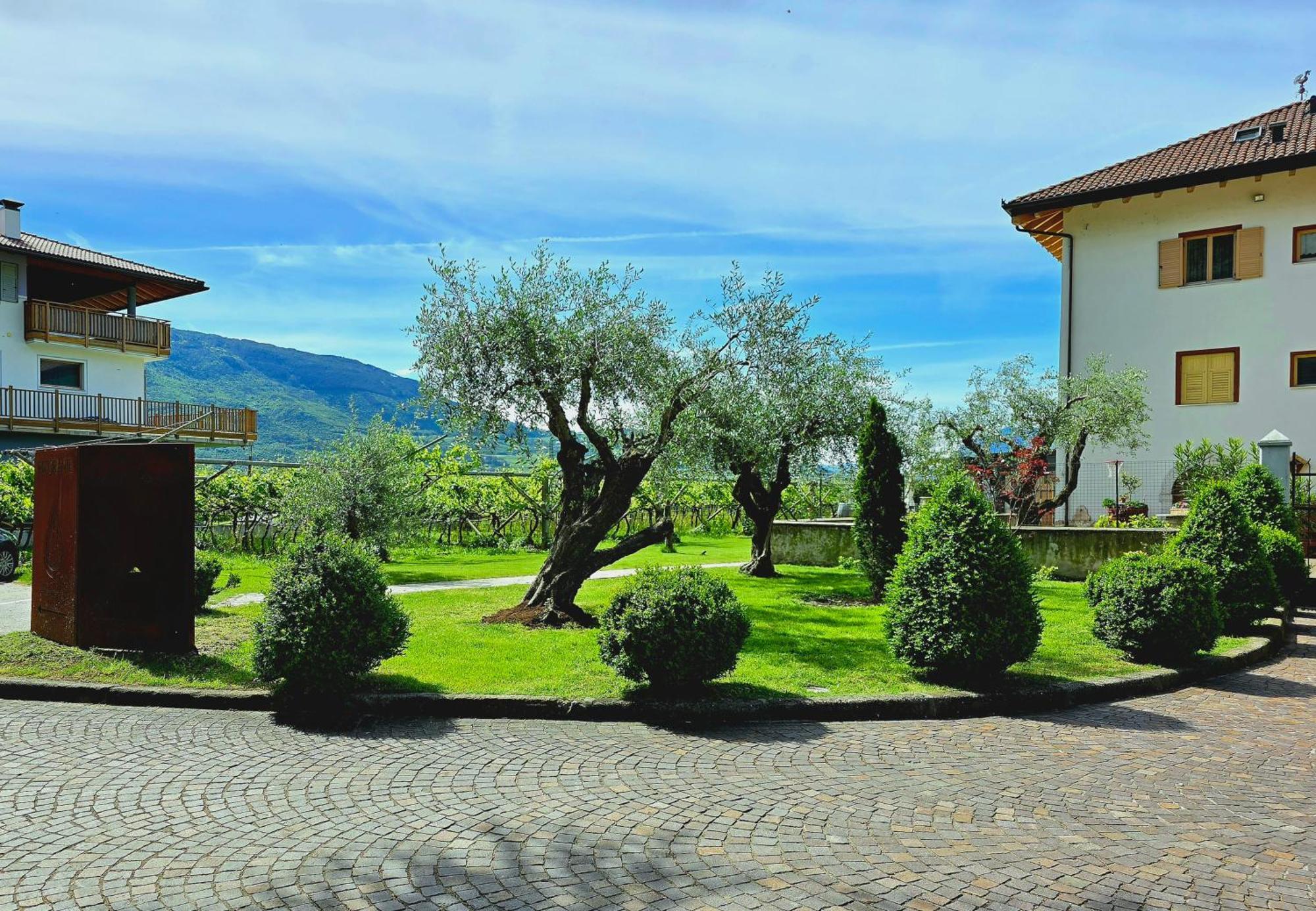 Villa Antico Fienile Agritur Mezzocorona Exterior foto